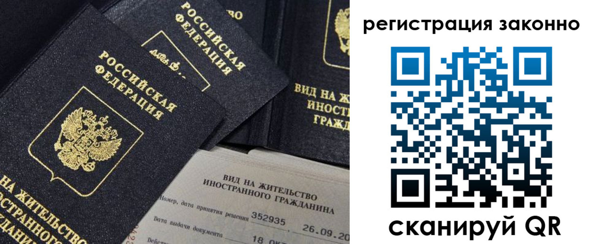 прописка поиск в Ельне